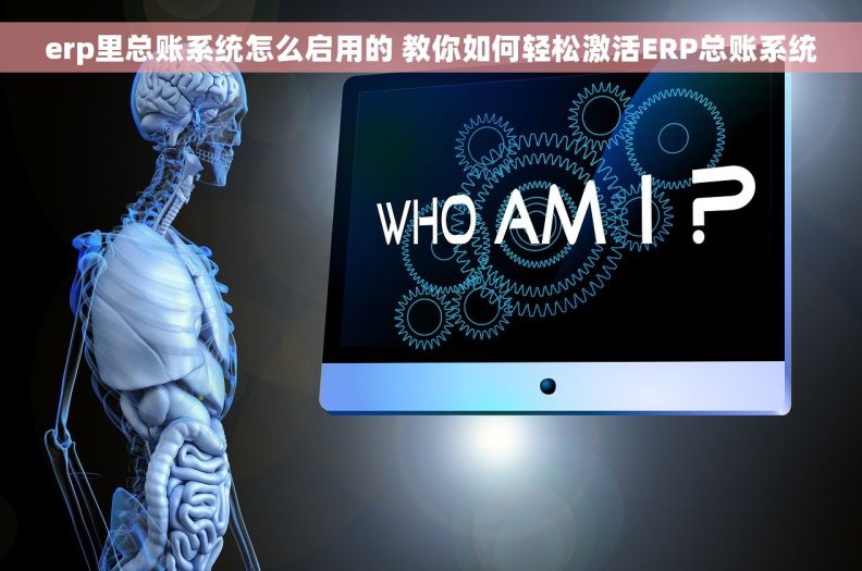 erp里总账系统怎么启用的 教你如何轻松激活ERP总账系统
