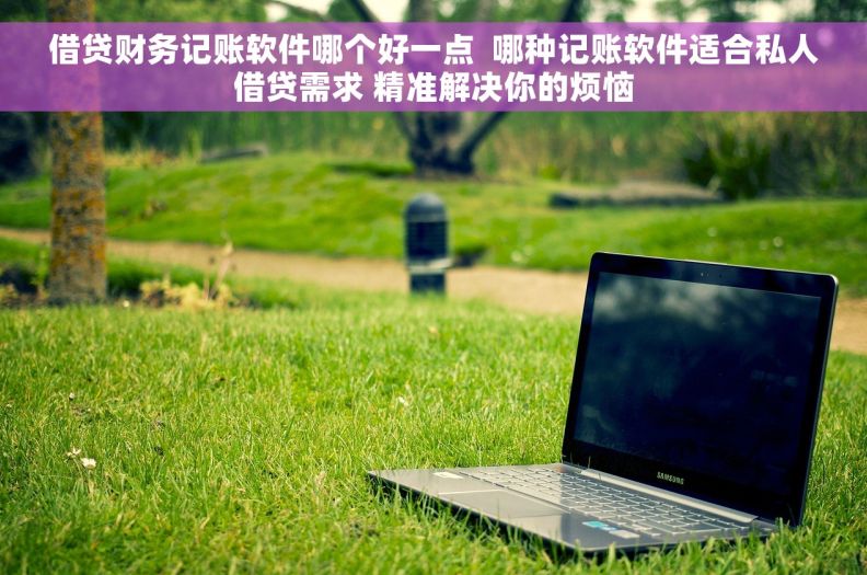 借贷财务记账软件哪个好一点  哪种记账软件适合私人借贷需求 精准解决你的烦恼