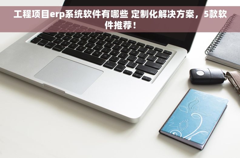 工程项目erp系统软件有哪些 定制化解决方案，5款软件推荐！