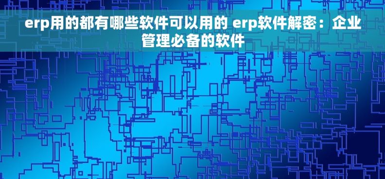 erp用的都有哪些软件可以用的 erp软件解密：企业管理必备的软件