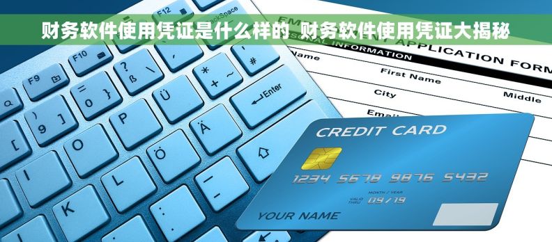 财务软件使用凭证是什么样的  财务软件使用凭证大揭秘