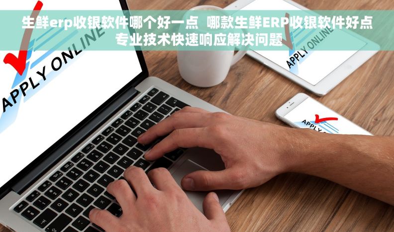 生鲜erp收银软件哪个好一点  哪款生鲜ERP收银软件好点 专业技术快速响应解决问题