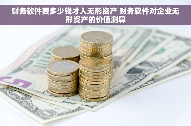财务软件要多少钱才入无形资产 财务软件对企业无形资产的价值测算