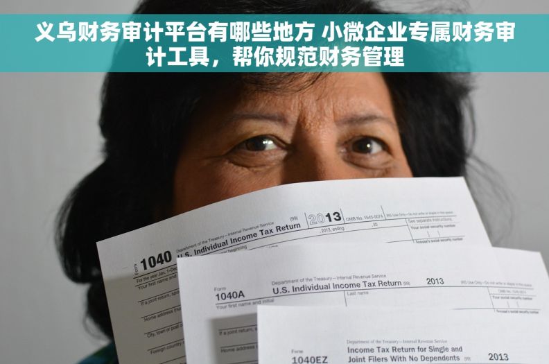 义乌财务审计平台有哪些地方 小微企业专属财务审计工具，帮你规范财务管理
