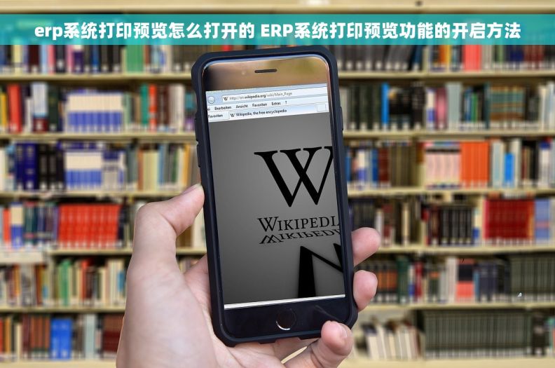 erp系统打印预览怎么打开的 ERP系统打印预览功能的开启方法