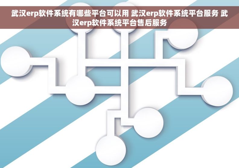 武汉erp软件系统有哪些平台可以用 武汉erp软件系统平台服务 武汉erp软件系统平台售后服务