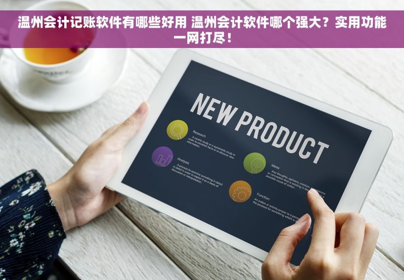 温州会计记账软件有哪些好用 温州会计软件哪个强大？实用功能一网打尽！