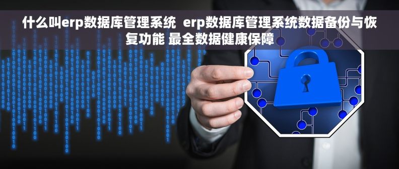 什么叫erp数据库管理系统  erp数据库管理系统数据备份与恢复功能 最全数据健康保障