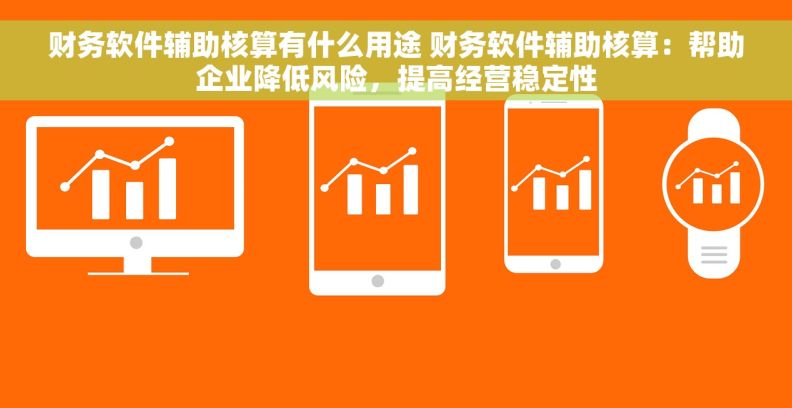 财务软件辅助核算有什么用途 财务软件辅助核算：帮助企业降低风险，提高经营稳定性