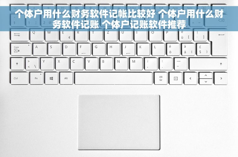 个体户用什么财务软件记帐比较好 个体户用什么财务软件记账 个体户记账软件推荐