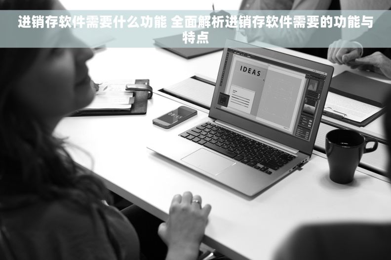 进销存软件需要什么功能 全面解析进销存软件需要的功能与特点