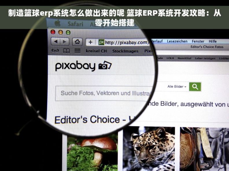 制造篮球erp系统怎么做出来的呢 篮球ERP系统开发攻略：从零开始搭建