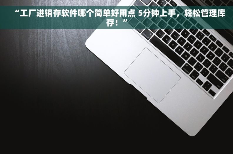 “工厂进销存软件哪个简单好用点 5分钟上手，轻松管理库存！”