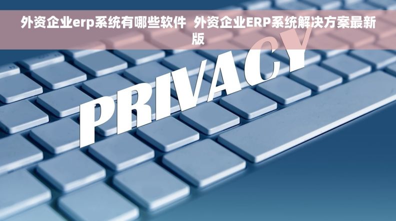 外资企业erp系统有哪些软件  外资企业ERP系统解决方案最新版