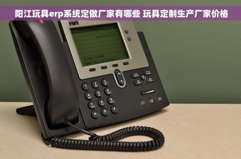  阳江玩具erp系统定做厂家有哪些 玩具定制生产厂家价格