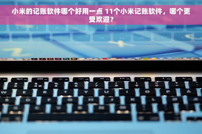 小米的记账软件哪个好用一点 11个小米记账软件，哪个更受欢迎？