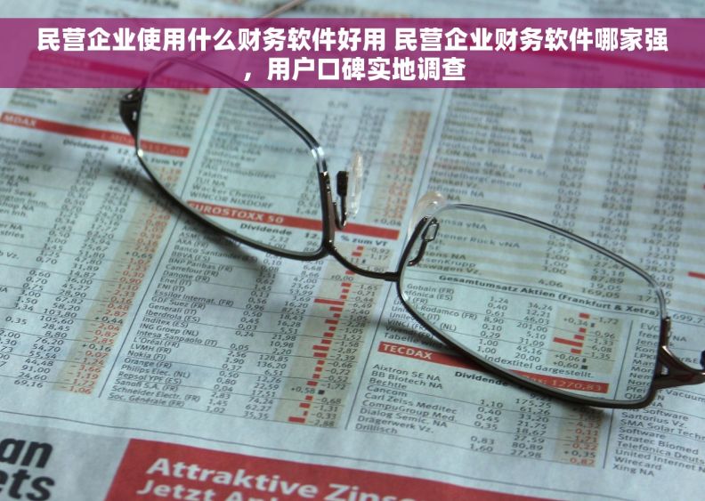 民营企业使用什么财务软件好用 民营企业财务软件哪家强，用户口碑实地调查