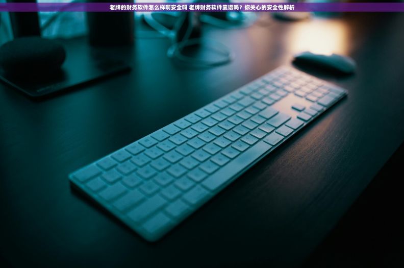 老牌的财务软件怎么样啊安全吗 老牌财务软件靠谱吗？你关心的安全性解析