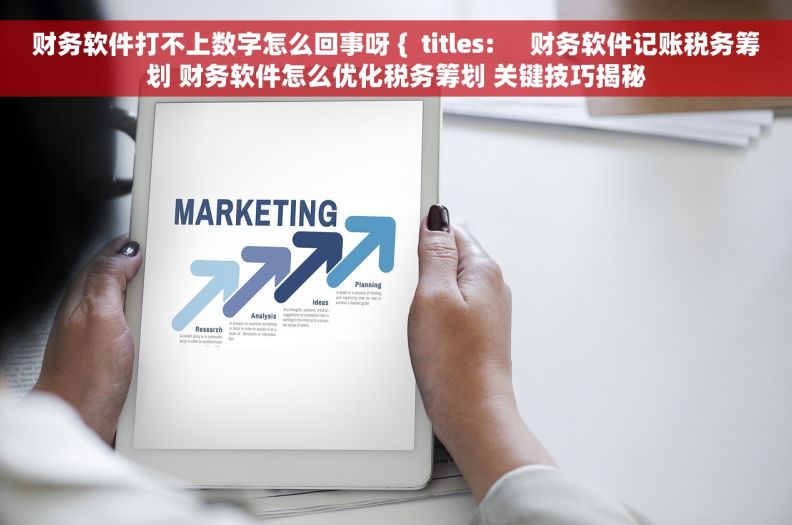 财务软件打不上数字怎么回事呀 {  titles:     财务软件记账税务筹划 财务软件怎么优化税务筹划 关键技巧揭秘