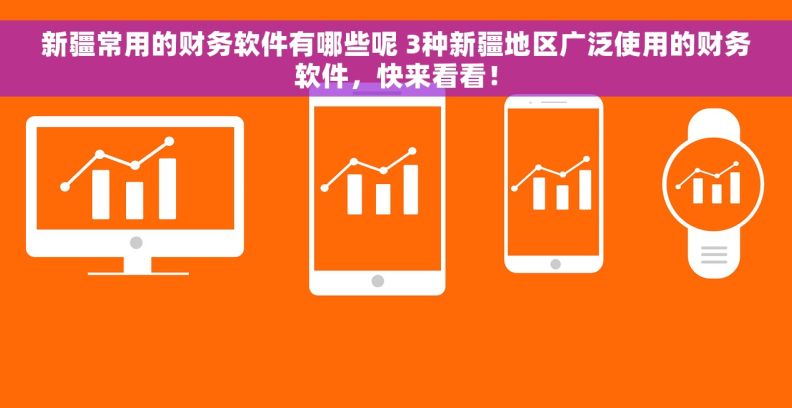 新疆常用的财务软件有哪些呢 3种新疆地区广泛使用的财务软件，快来看看！