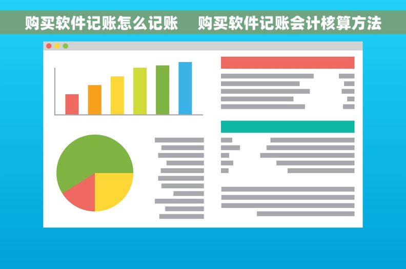 购买软件记账怎么记账     购买软件记账会计核算方法