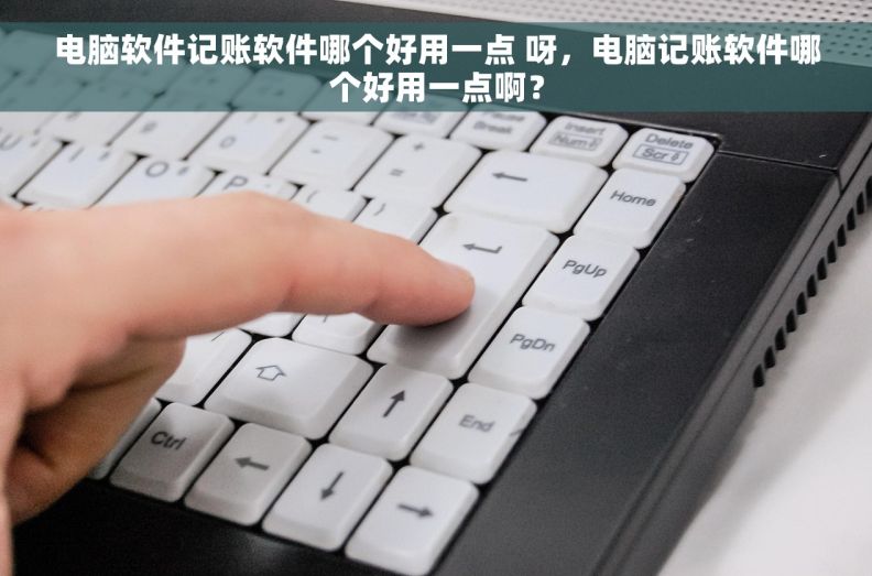 电脑软件记账软件哪个好用一点 呀，电脑记账软件哪个好用一点啊？