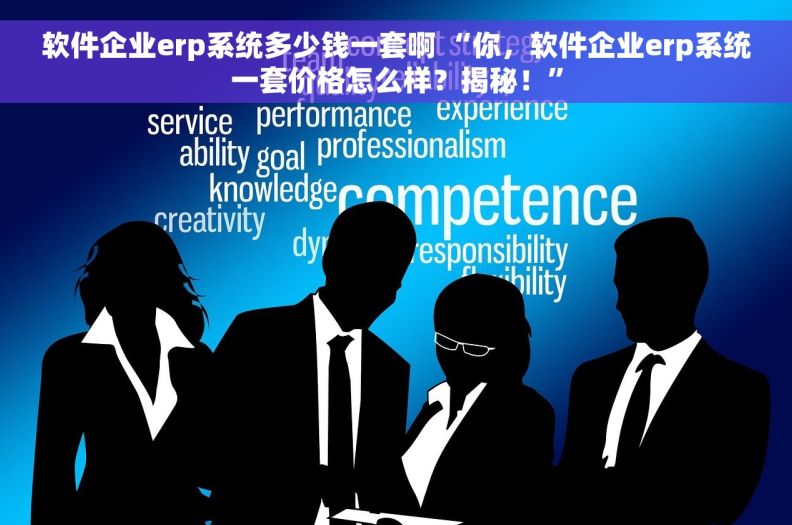 软件企业erp系统多少钱一套啊 “你，软件企业erp系统一套价格怎么样？揭秘！”