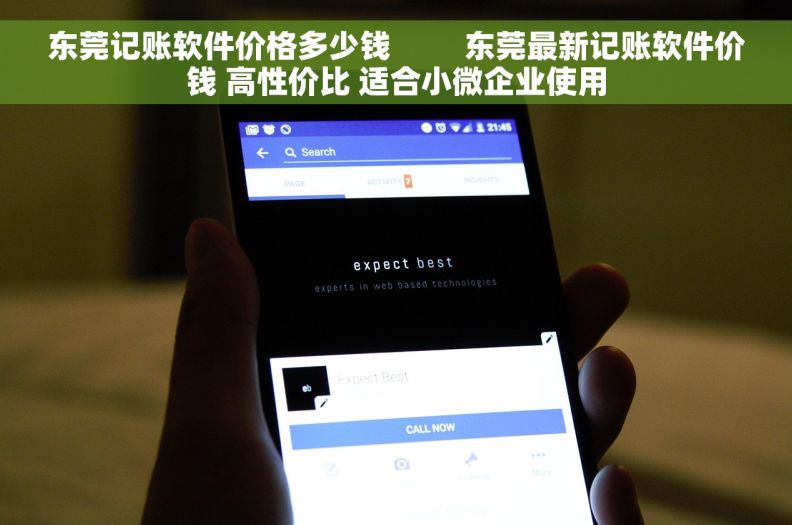东莞记账软件价格多少钱         东莞最新记账软件价钱 高性价比 适合小微企业使用
