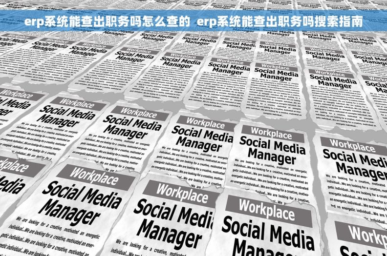 erp系统能查出职务吗怎么查的  erp系统能查出职务吗搜索指南