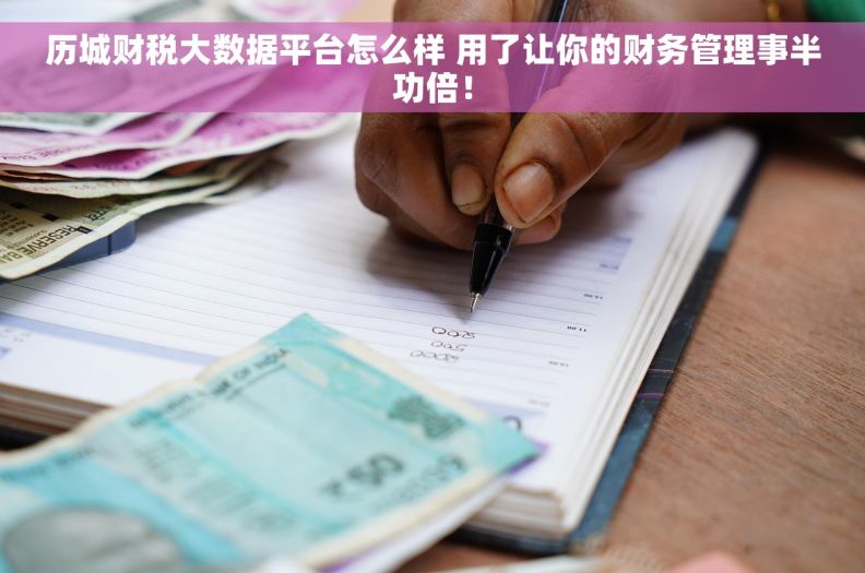 历城财税大数据平台怎么样 用了让你的财务管理事半功倍！