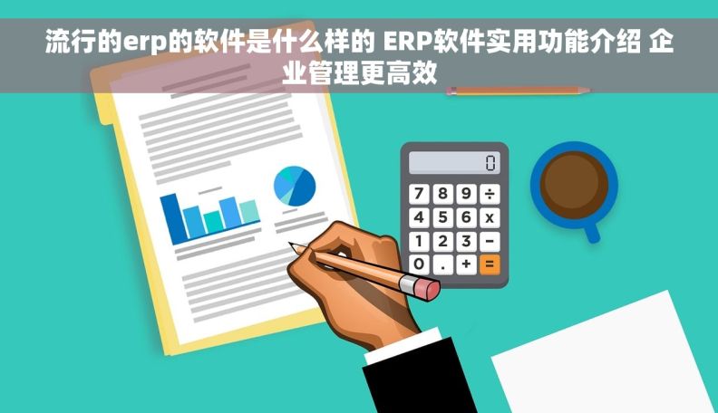 流行的erp的软件是什么样的 ERP软件实用功能介绍 企业管理更高效