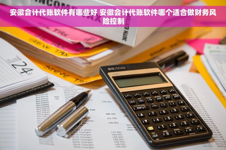 安徽会计代账软件有哪些好 安徽会计代账软件哪个适合做财务风险控制