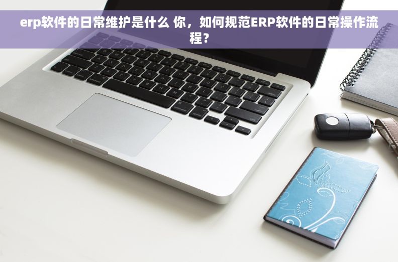 erp软件的日常维护是什么 你，如何规范ERP软件的日常操作流程？