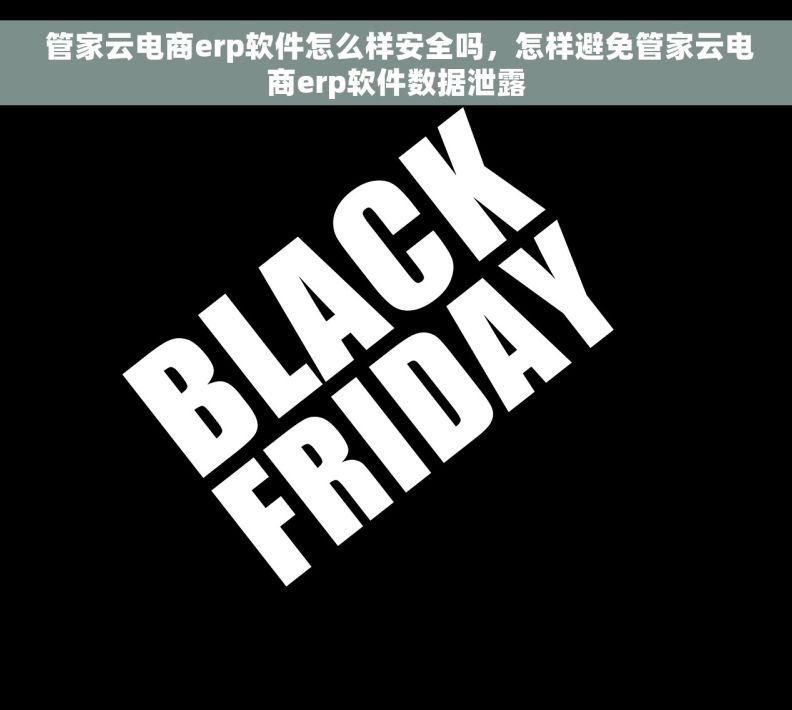  管家云电商erp软件怎么样安全吗，怎样避免管家云电商erp软件数据泄露