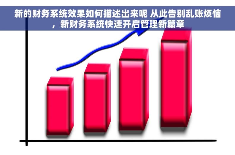 新的财务系统效果如何描述出来呢 从此告别乱账烦恼，新财务系统快速开启管理新篇章