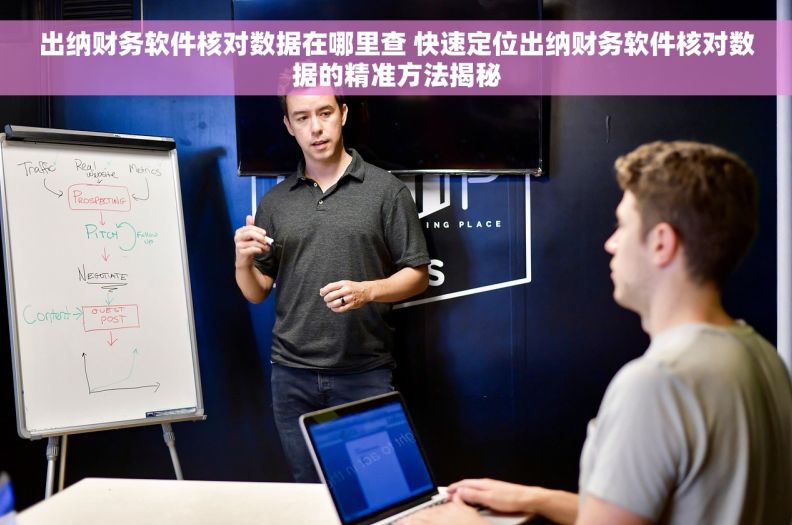出纳财务软件核对数据在哪里查 快速定位出纳财务软件核对数据的精准方法揭秘