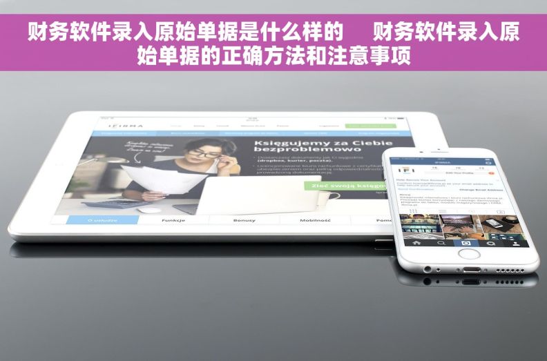 财务软件录入原始单据是什么样的     财务软件录入原始单据的正确方法和注意事项