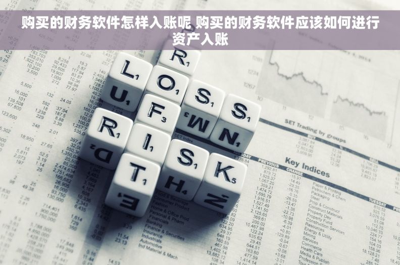 购买的财务软件怎样入账呢 购买的财务软件应该如何进行资产入账