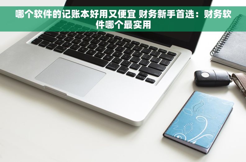 哪个软件的记账本好用又便宜 财务新手首选：财务软件哪个最实用