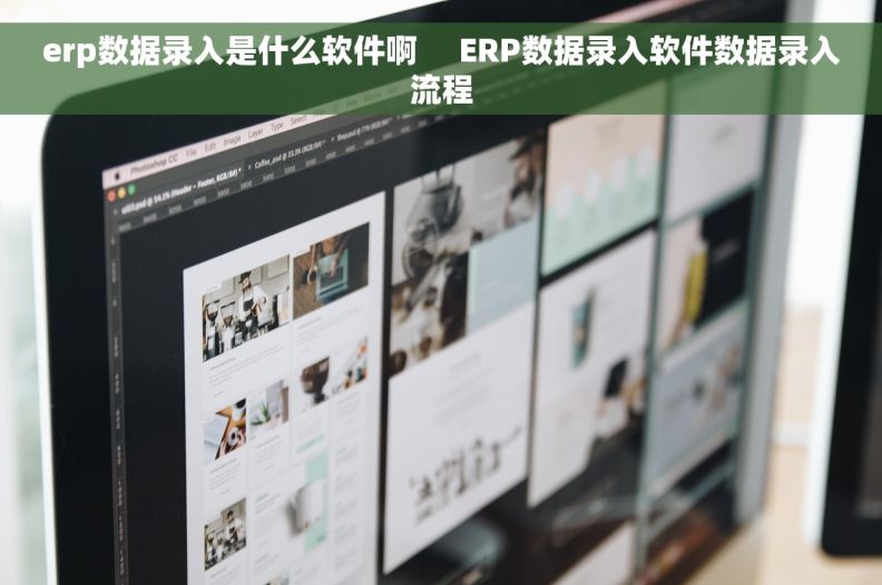 erp数据录入是什么软件啊     ERP数据录入软件数据录入流程