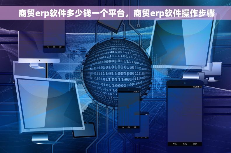  商贸erp软件多少钱一个平台，商贸erp软件操作步骤