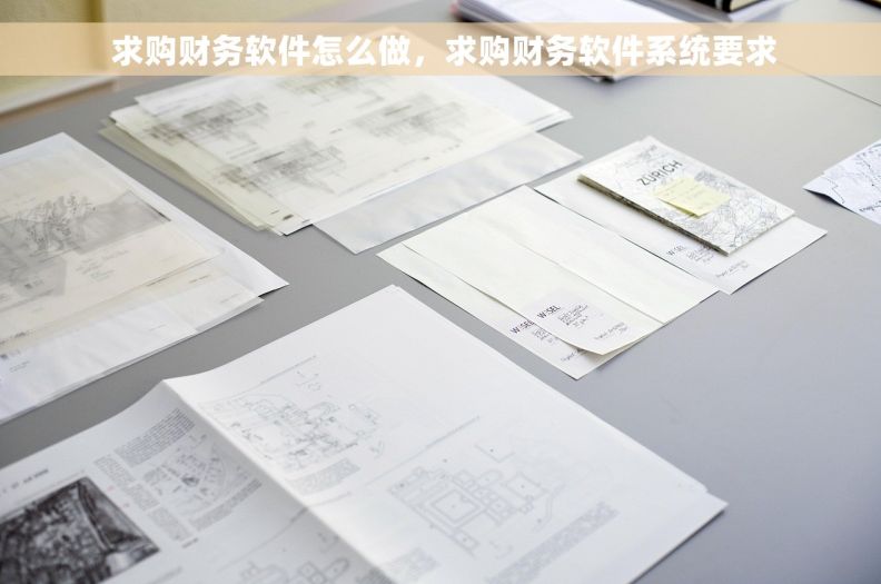  求购财务软件怎么做，求购财务软件系统要求