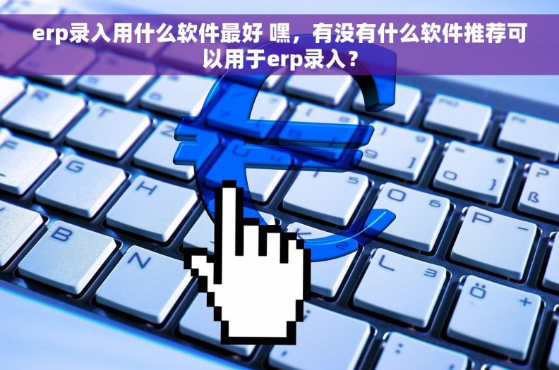 erp录入用什么软件最好 嘿，有没有什么软件推荐可以用于erp录入？