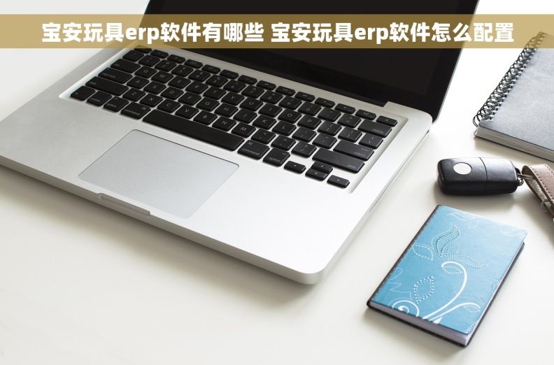 宝安玩具erp软件有哪些 宝安玩具erp软件怎么配置