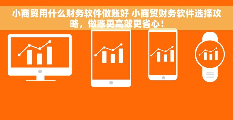小商贸用什么财务软件做账好 小商贸财务软件选择攻略，做账更高效更省心！