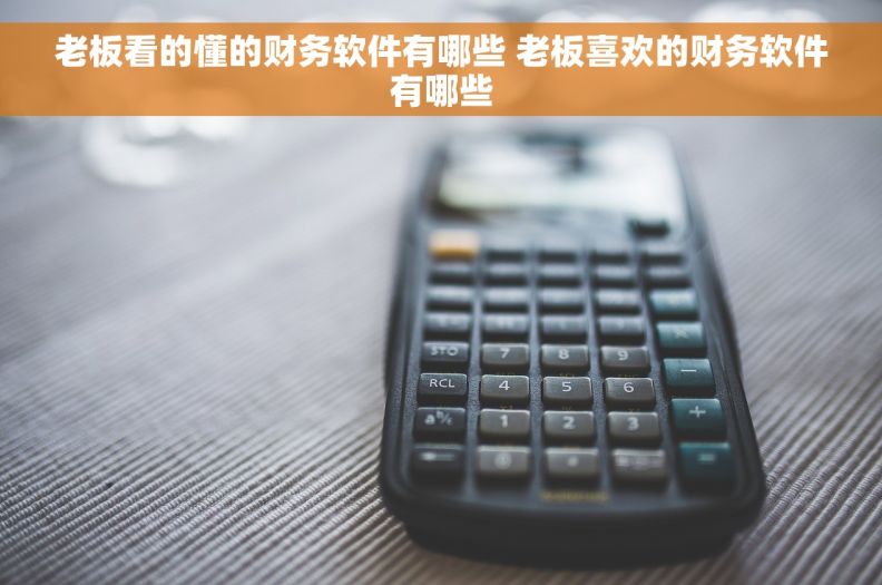 老板看的懂的财务软件有哪些 老板喜欢的财务软件有哪些