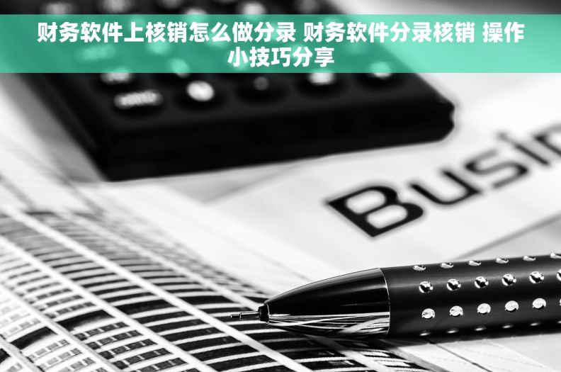 财务软件上核销怎么做分录 财务软件分录核销 操作小技巧分享