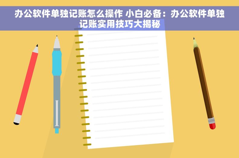 办公软件单独记账怎么操作 小白必备：办公软件单独记账实用技巧大揭秘