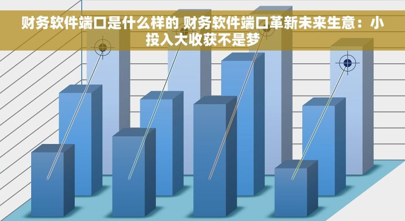 财务软件端口是什么样的 财务软件端口革新未来生意：小投入大收获不是梦