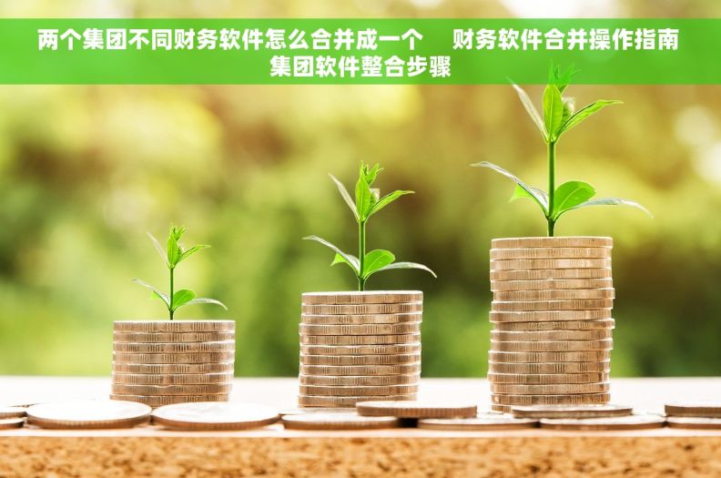 两个集团不同财务软件怎么合并成一个     财务软件合并操作指南 集团软件整合步骤